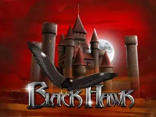 Black Hawk screenshot